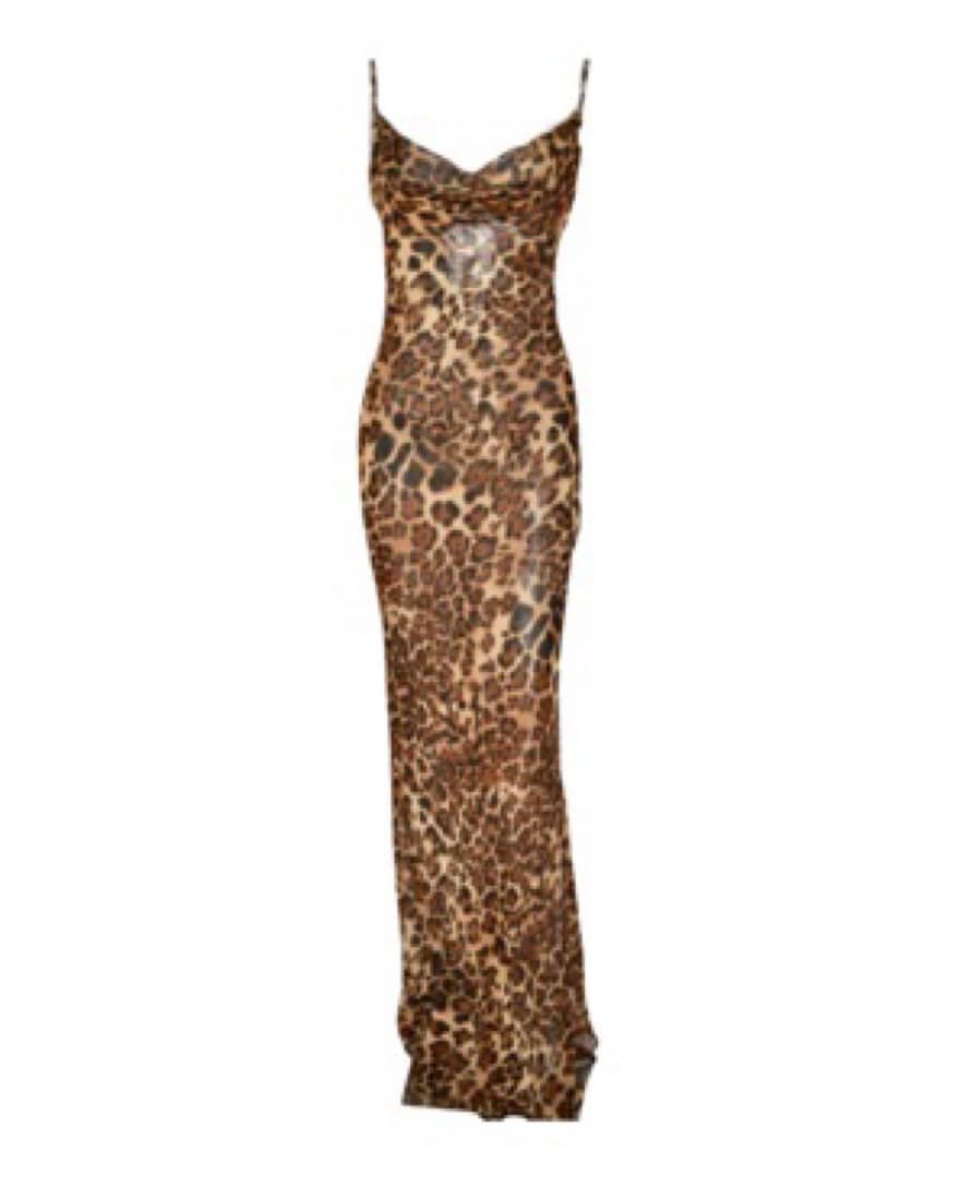 Sheer Leopard Print Maxi Dress - Image 3