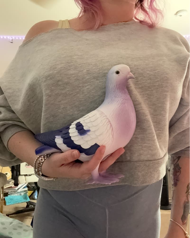 Pigeon Clutch  - Image 5