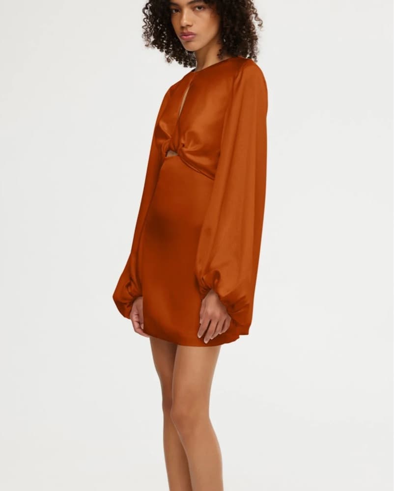 Significant Other Holly Mini Dress Clay - Image 4