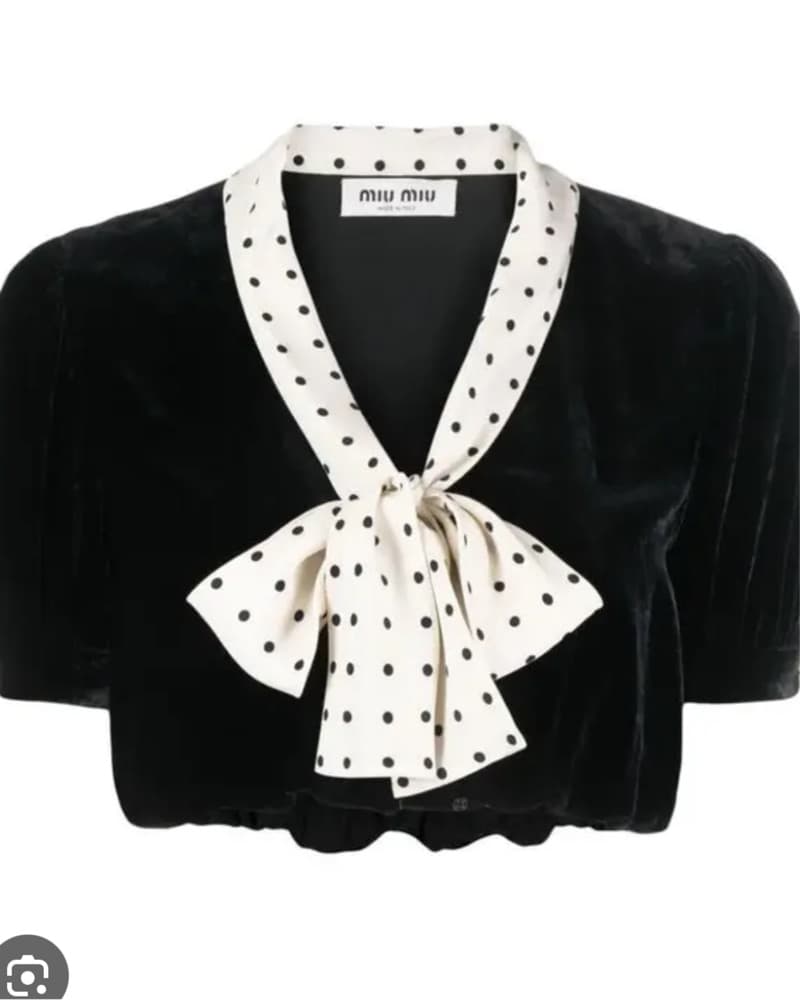 Miu Miu Blouse  - Image 1