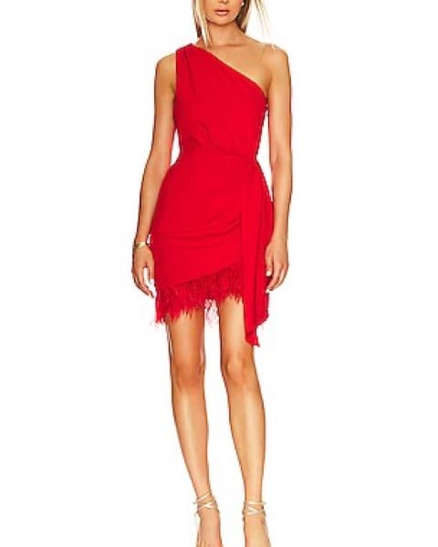 Saylor Audria Fringe Dress - Image 1