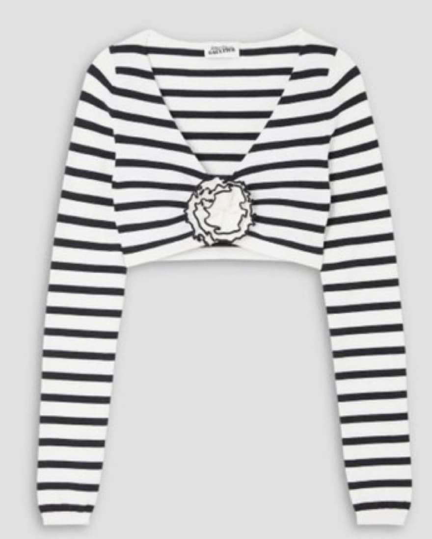 Striped Crop Top  - Image 2