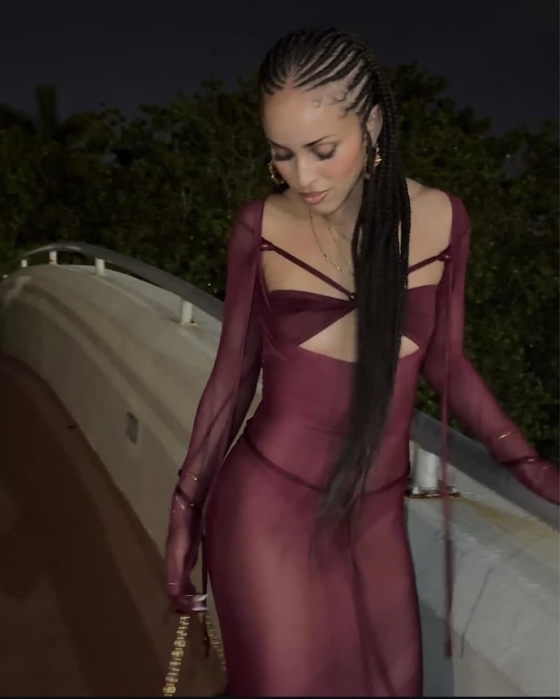Sheer Wine Agmansia Dress - Image 3