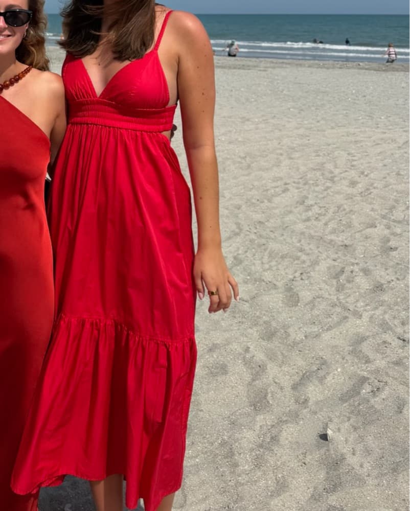 ALC rhodes Maxi Dress - Image 3