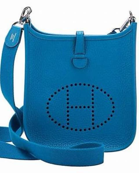 Hermes Mini Evelyne  - Image 2