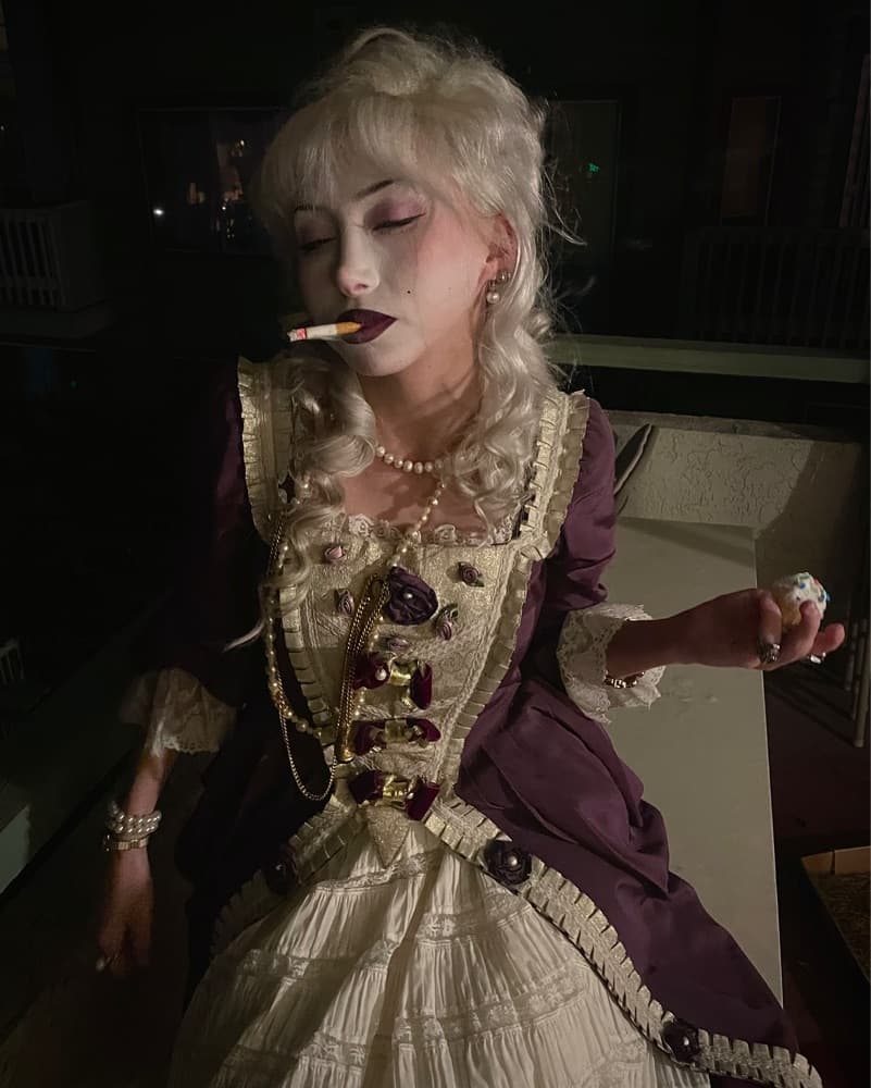 Marie Antoinette Dress - Image 3