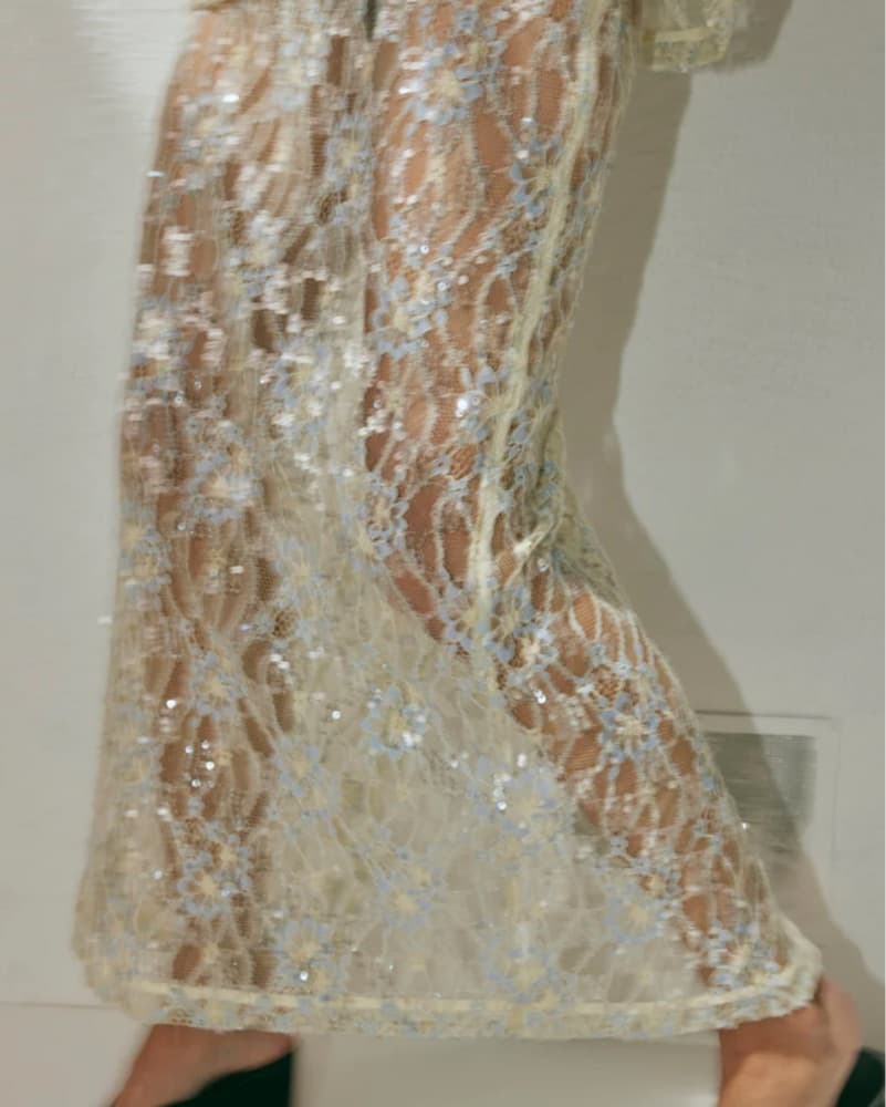 Sheer Lace Skirt  - Image 1