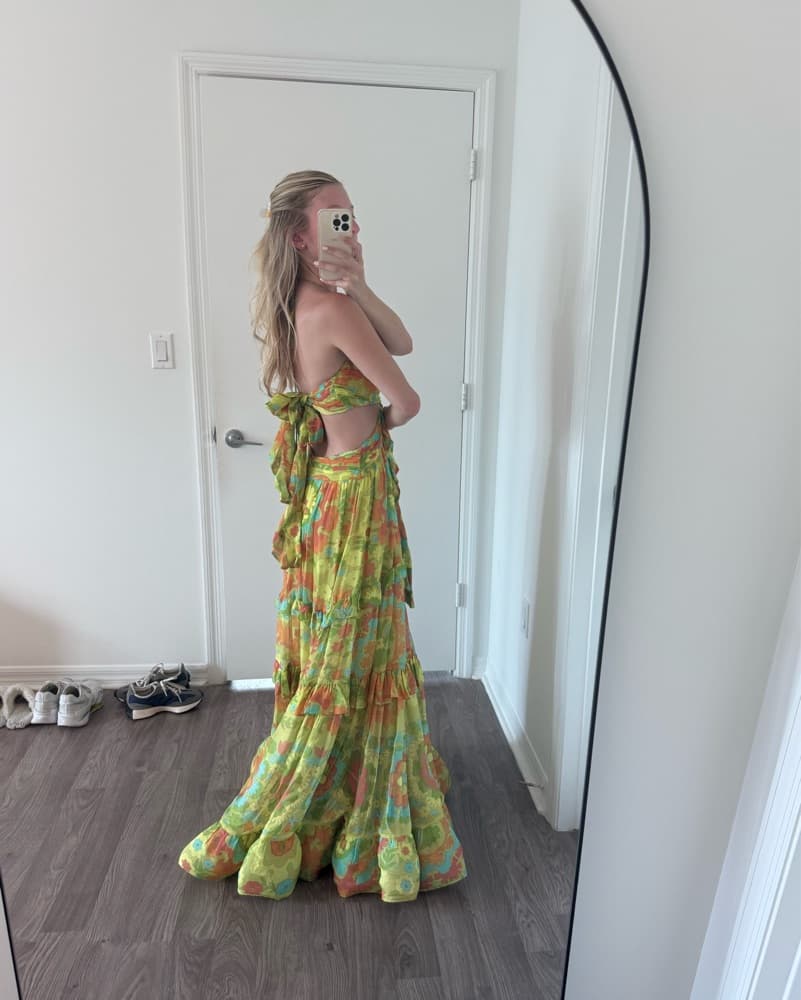 Alexis Freya Dress - Image 4