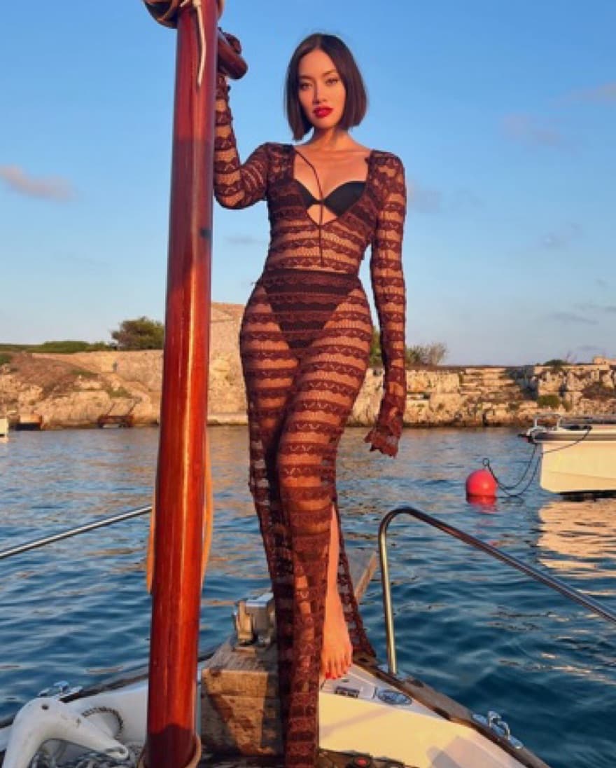 Aya Muse Sheer Lace Gown - Image 1