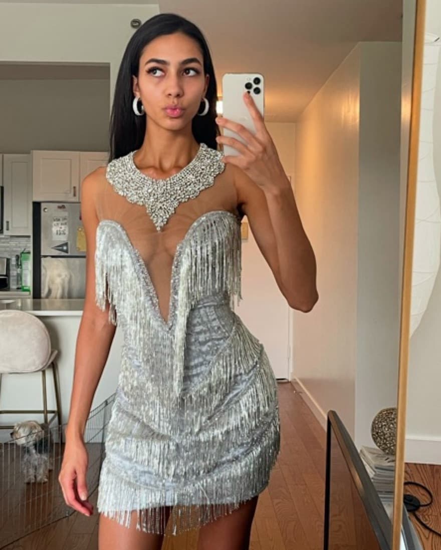 Fringe Silver Metallic Dress  - Image 1