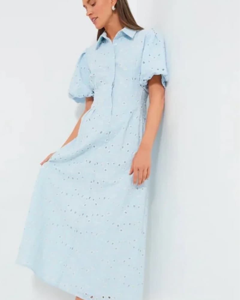 Tuckernuck blue Eyelet Delaney Dress - Image 1