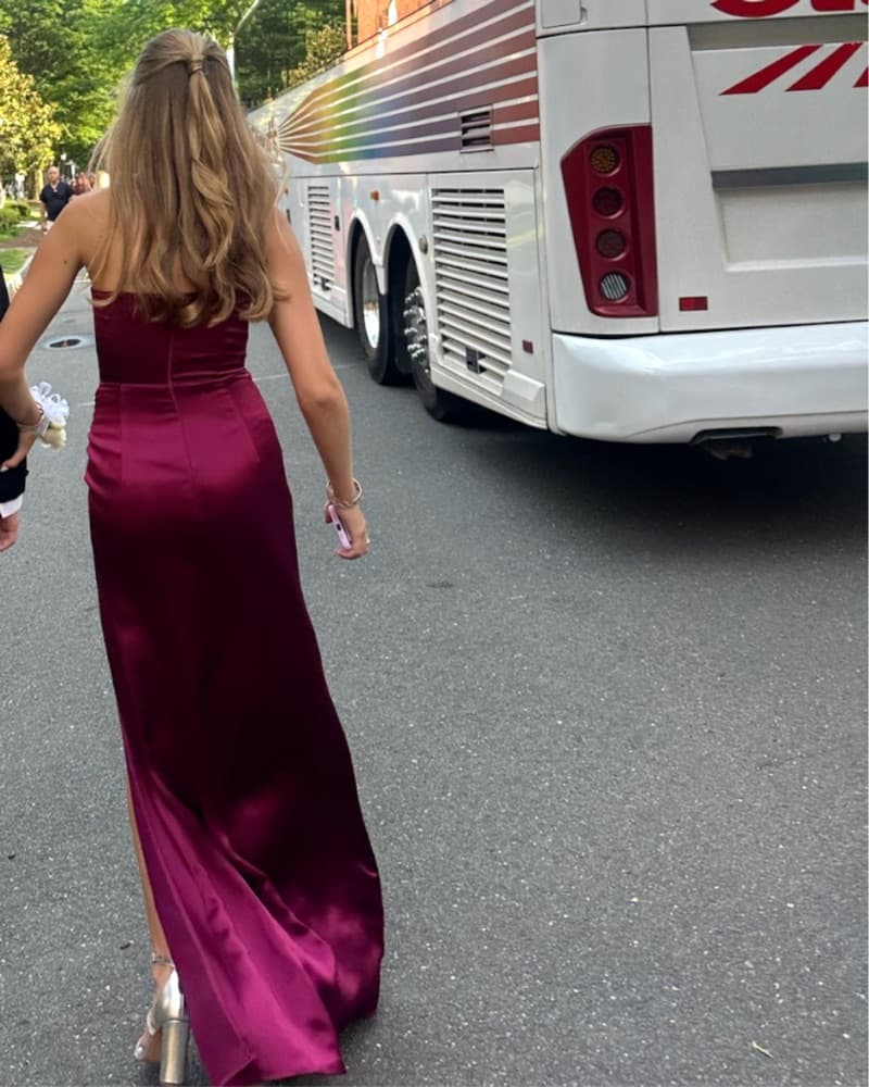 SAU LEE Hera Strapless Gown berry - Image 6
