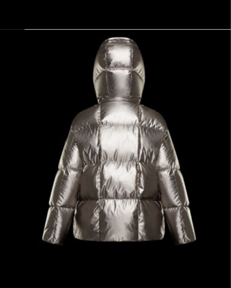 Moncler Parana Metallic Silver Jacket - Image 2