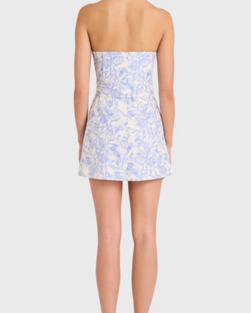 Amanda Uprichard Toile Strapless Mini - Image 4