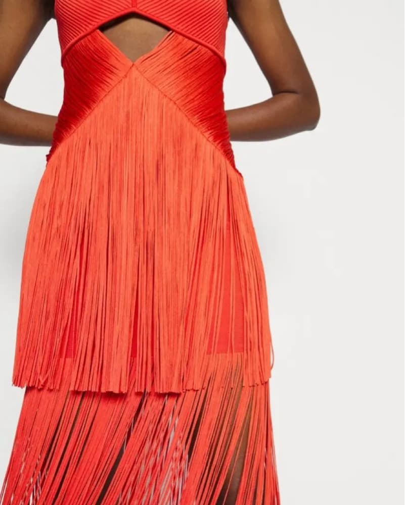 Herve Leger Fringe Cut Out Gown - Image 4