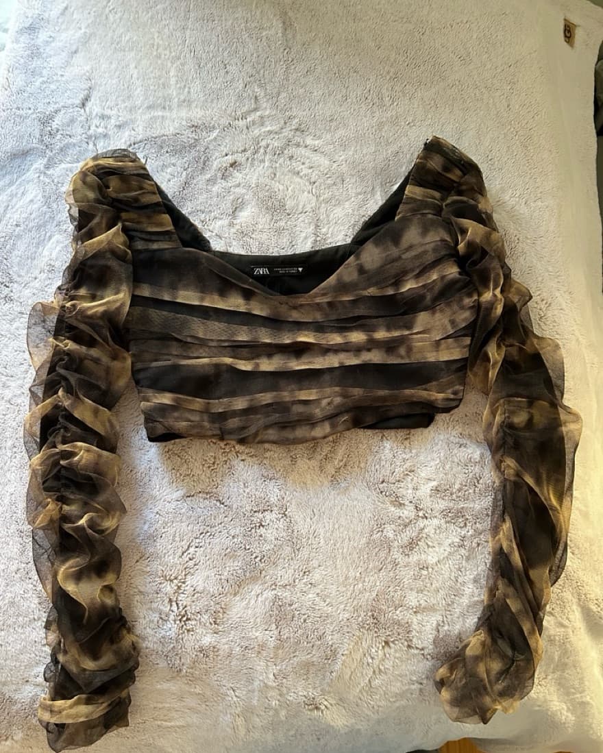 Zara Longsleeve Mesh Top - Image 3