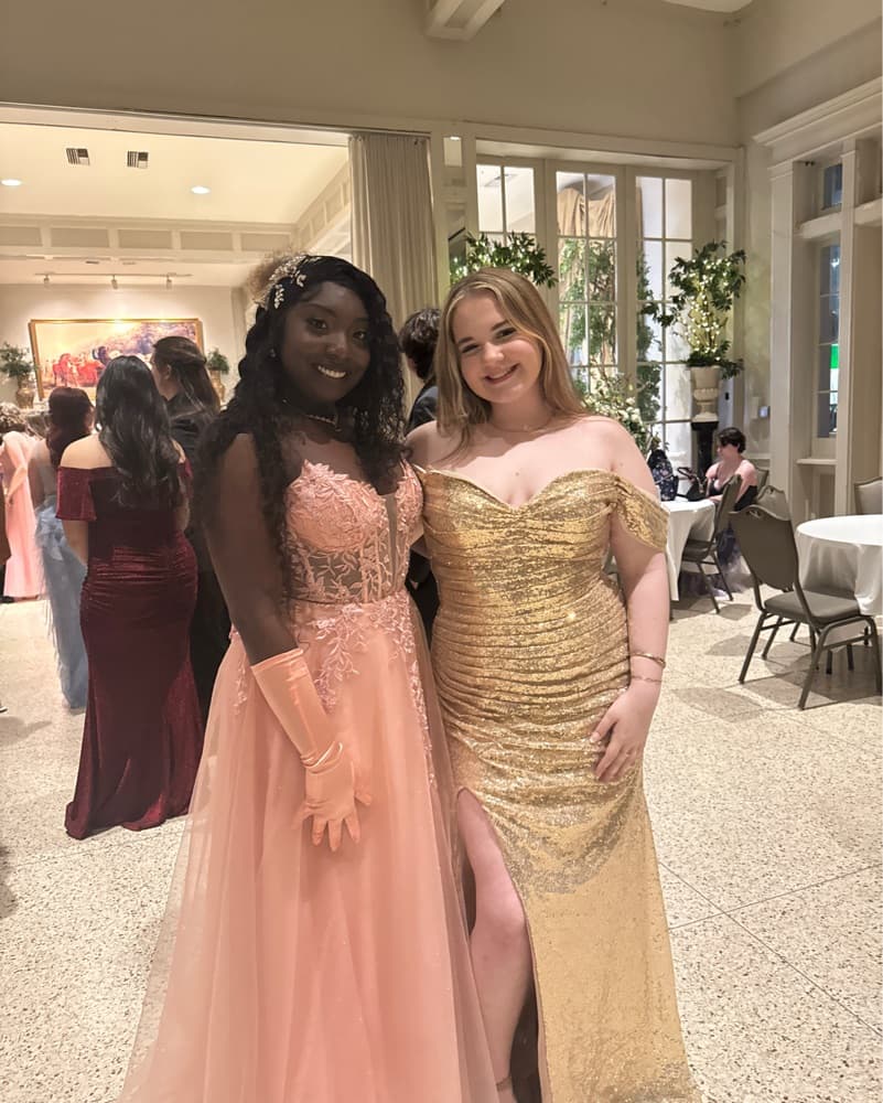 Elegant Lace and Sequin Formal Gowns - Image 1