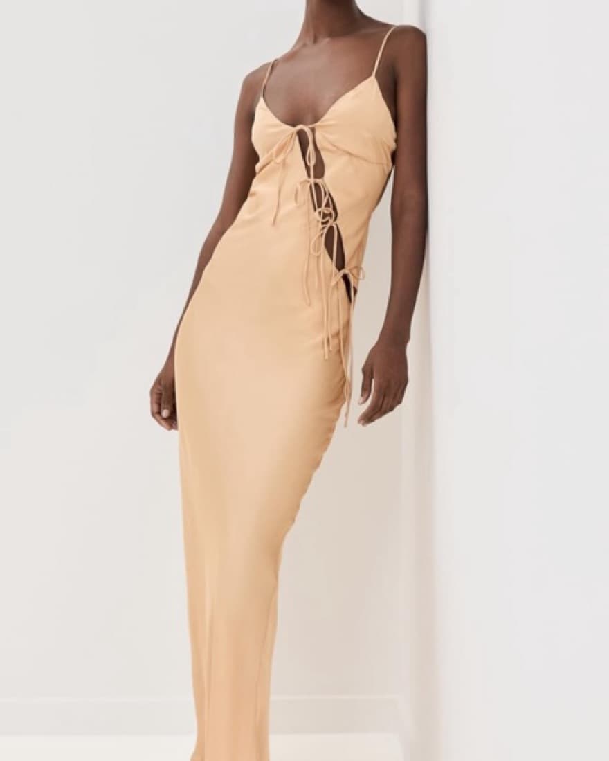 Lioness Maxi Dress - Image 1