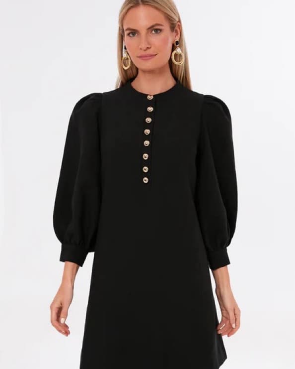 Tuckernuck Black Samantha Mini Dress - Image 2