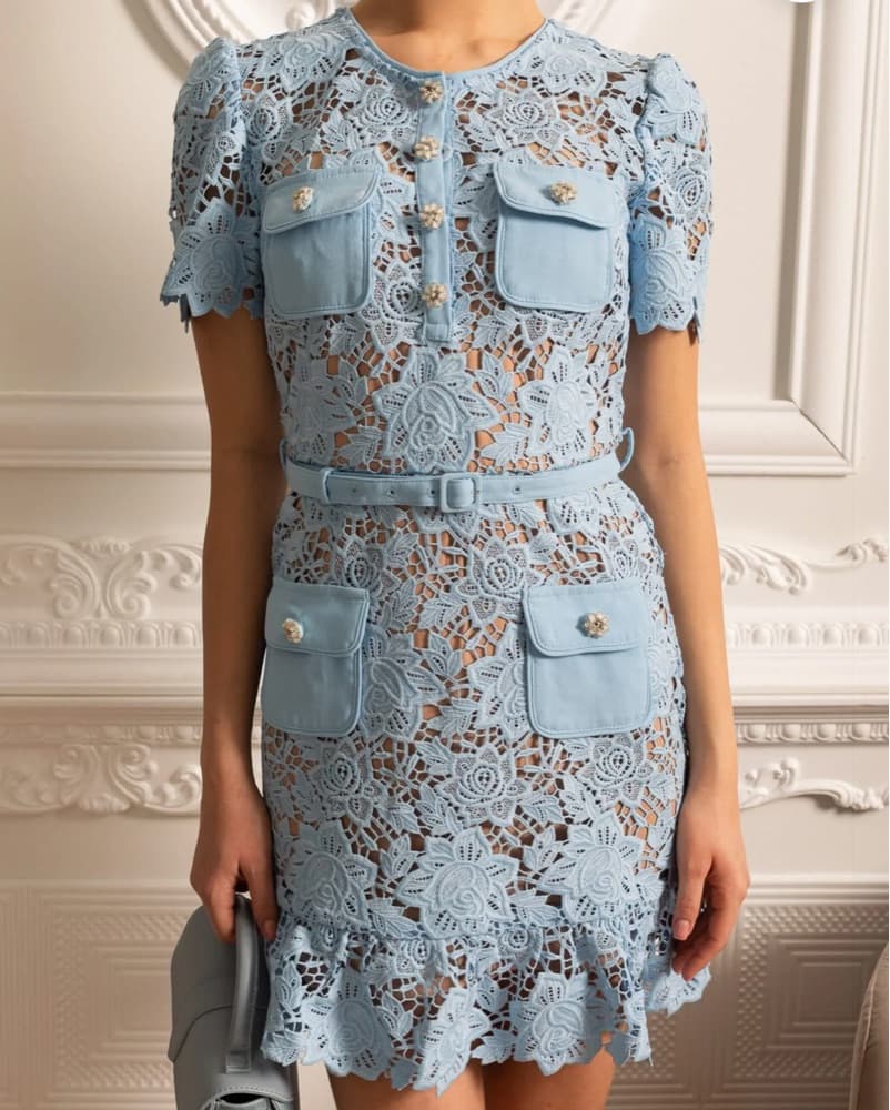 Elegant Lace Embroidered Mini Dress - Image 5