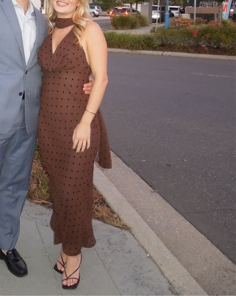 Zara Brown Polka Dot Scarf Dress - Image 3
