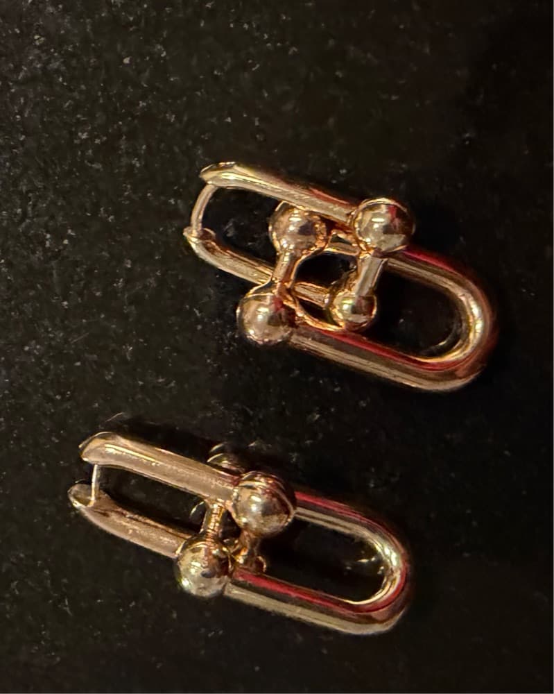 Tiffany Co Dupe Hardware Earrings - Image 1