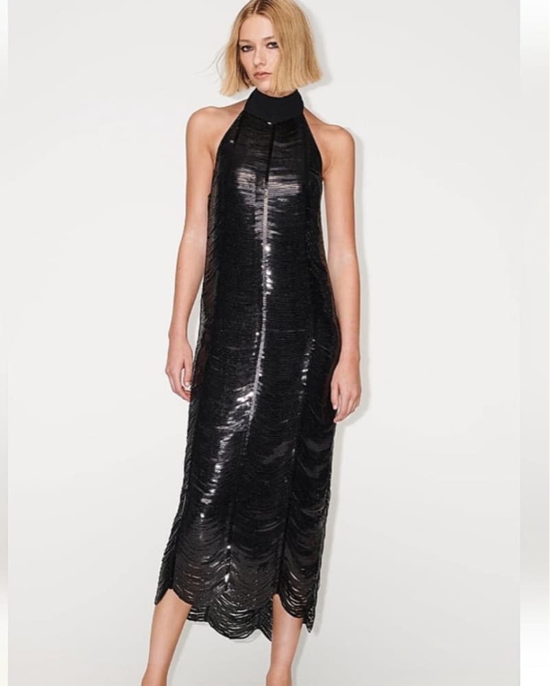 Zara Sequin Midi  - Image 3