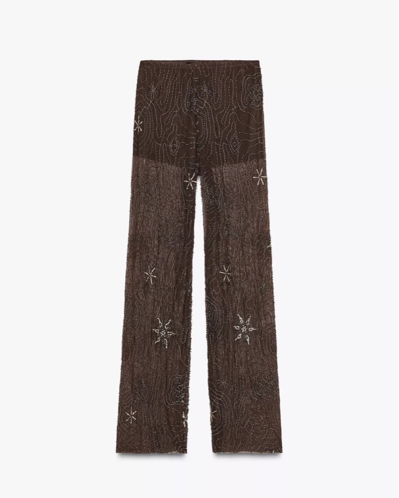 Zara Brown Sheer + Embellished Pant - Image 1