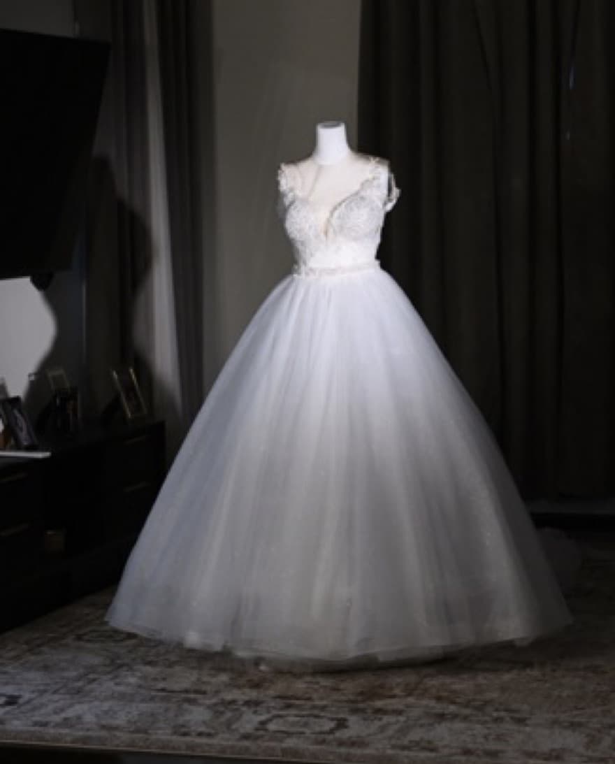 Wedding Combo(Overskirt + Mermaid Dress) - Image 1