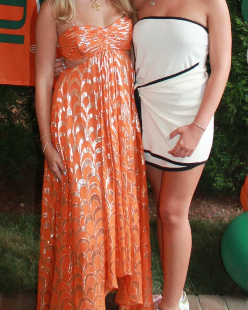 Delfi Collective Adele Dress - Image 2