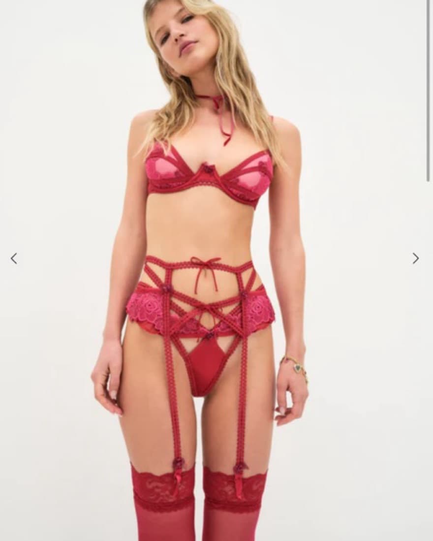 For Love And Lemons Burgandie Lingerie  - Image 2