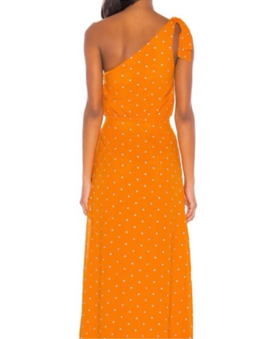 Privacy Please Blake Maxi Dress  - Image 2