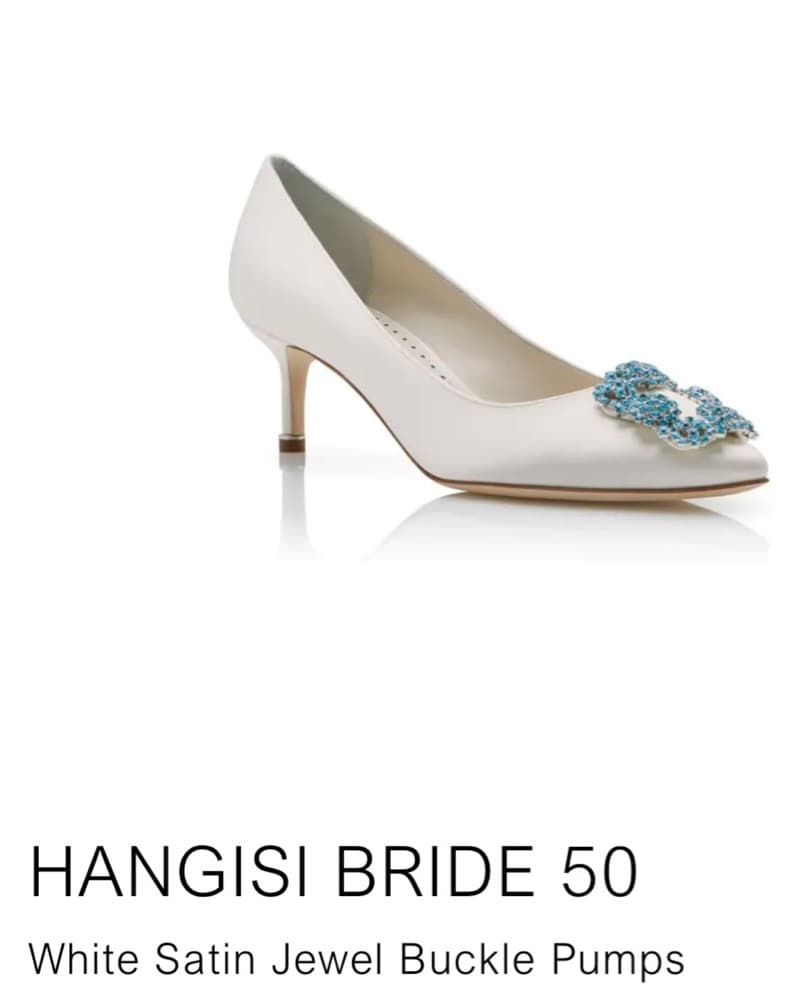 Manolo Blahnik Hangisi Bride 50 Pumps  - Image 1