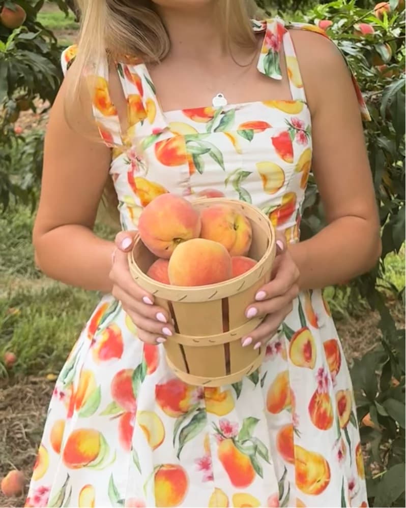 ASTR the Label tinesha dress in peach! - Image 4