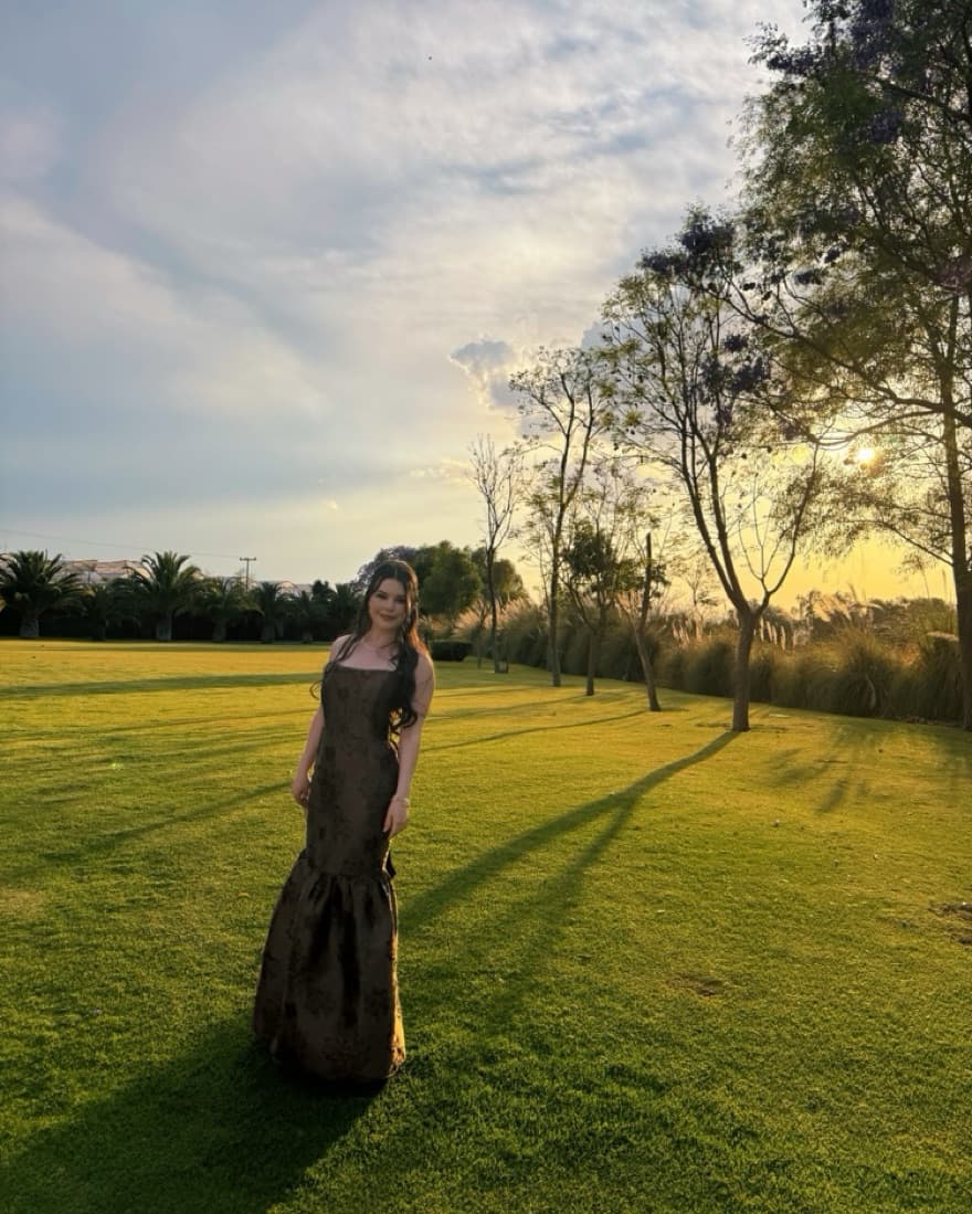 V Chapman The Cherie Dress in Cocoa Baro - Image 5