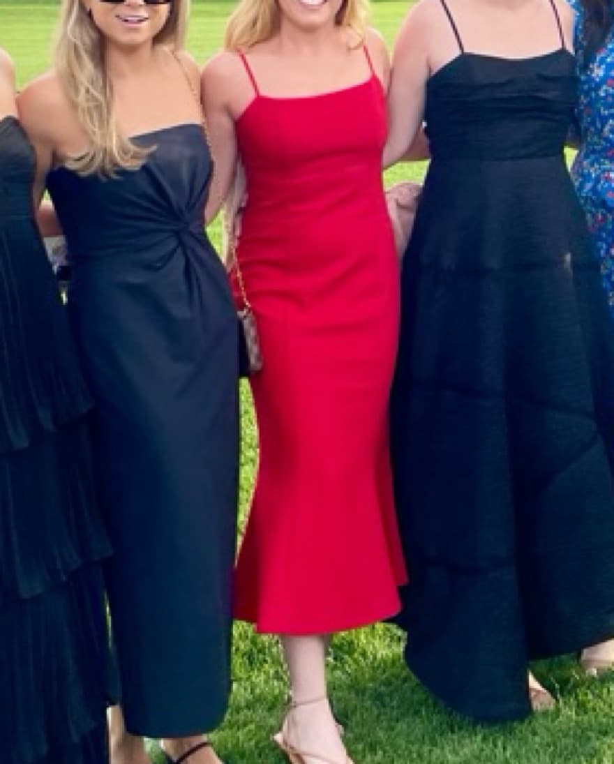 Likely Red Carter Midi dress  - Image 2