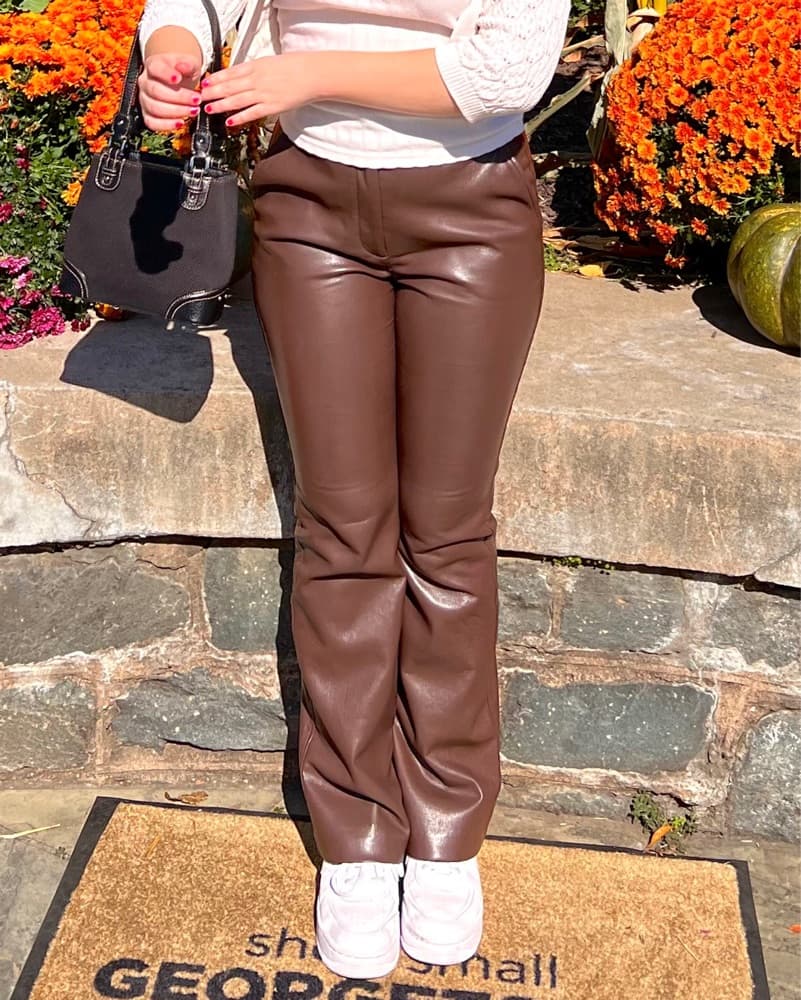 Aritzia Melina Brown Leather Pants - Image 1