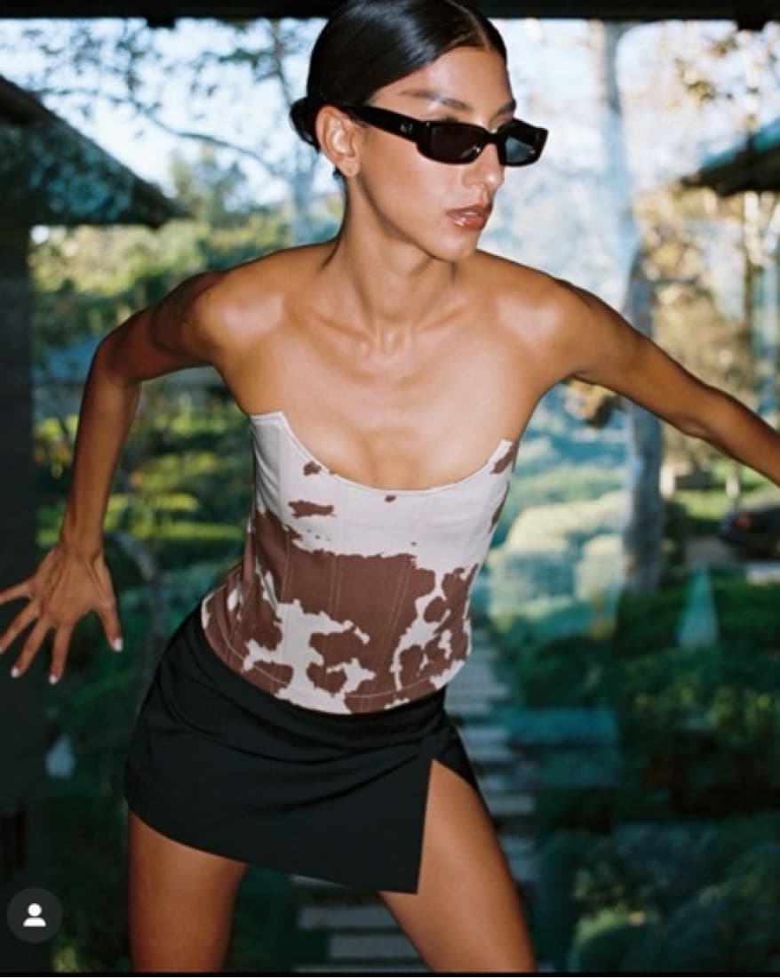 Miaou Micro Mini Skirt (& Chainmail Top) - Image 4