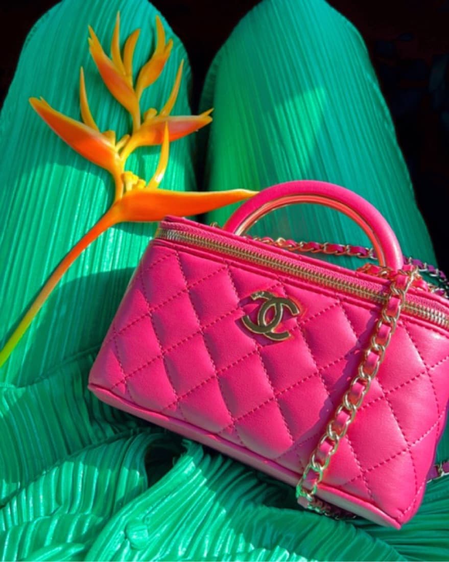 Chanel vanity Purse - Image 1