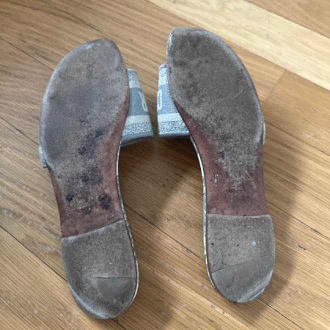 Dior Dway Slides - Gray Toile de Jouy Em - Image 3