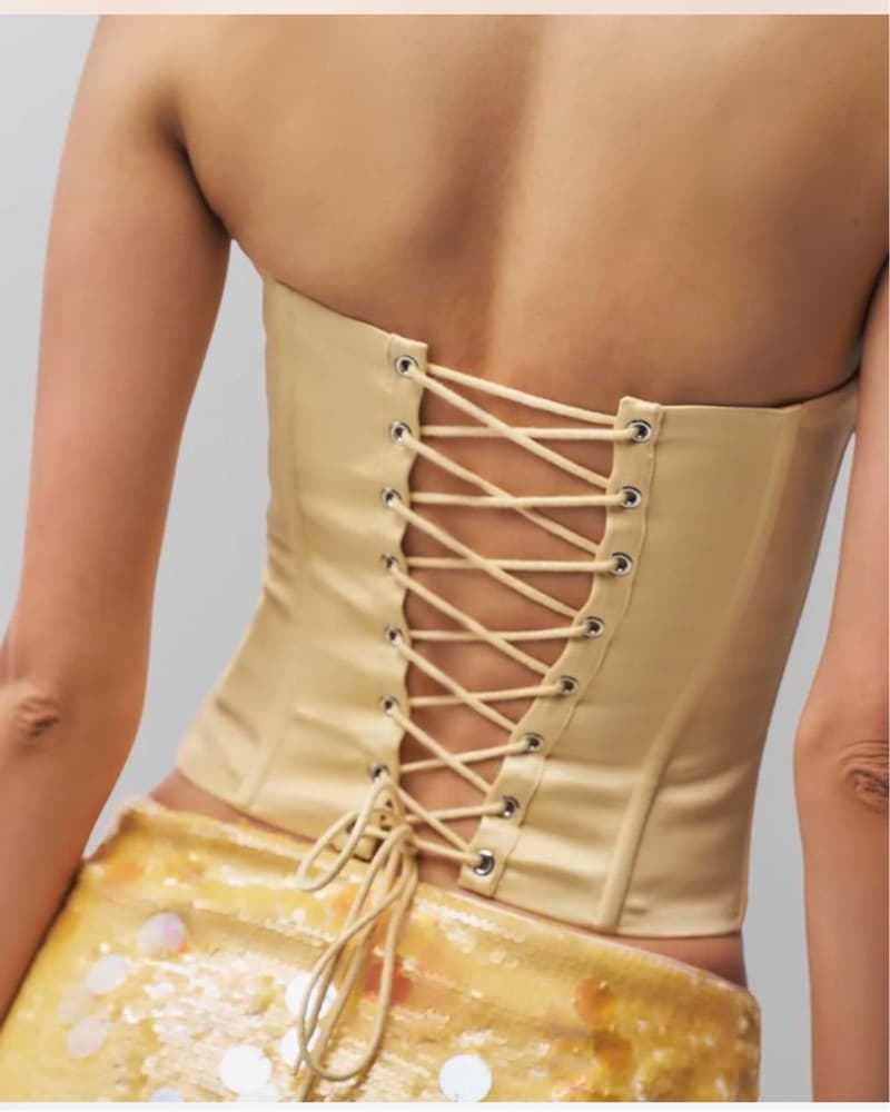 Danielle Guizio Corset  - Image 3