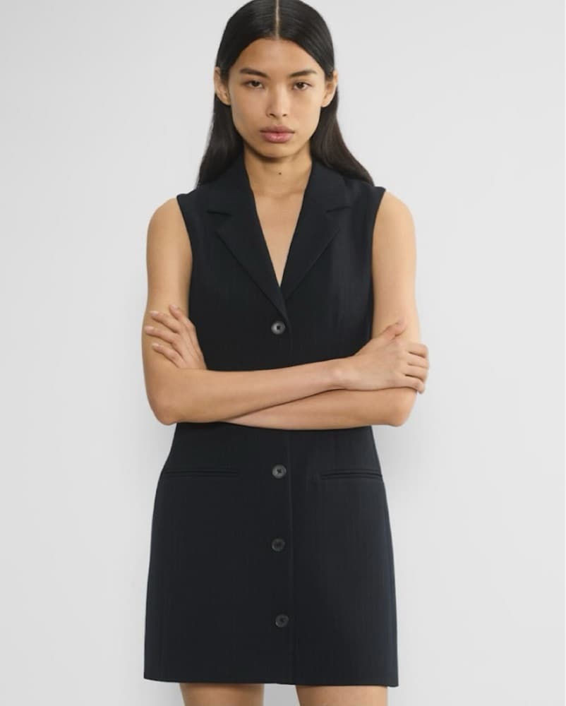 Aritzia Babaton Suit Dress - Image 1