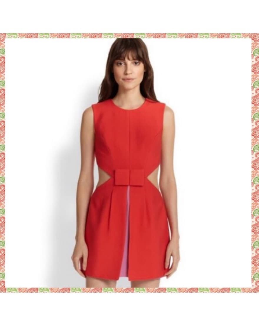 BCBG Mini Dress - Image 4