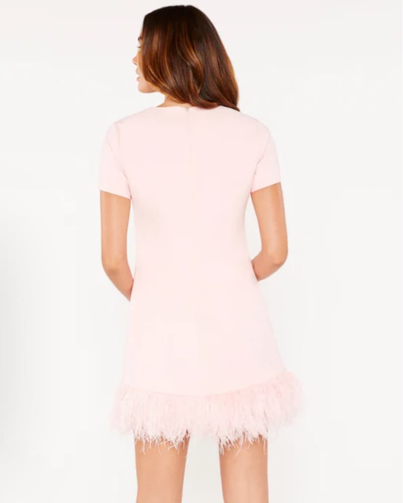 Likely Marullo Dress  - Image 2