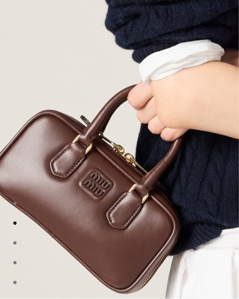Miu Miu Arcadie Leather Mini Bag  - Image 3