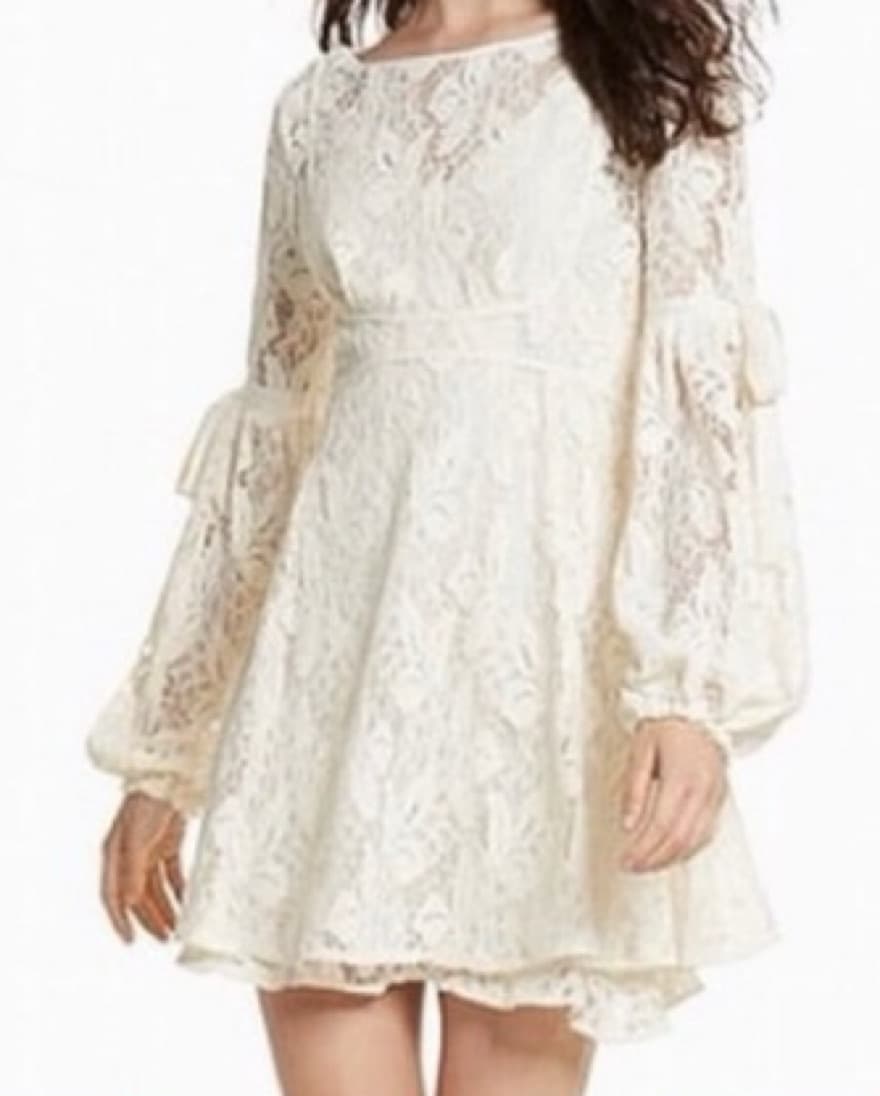 Free People Lace Dress - Image 1