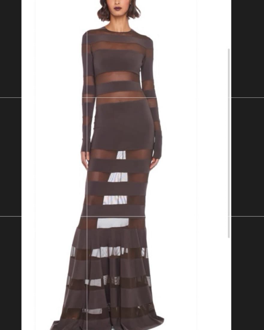 Sheer Gown - Image 1