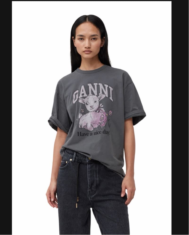 Future Grey Relaxed Lamb T-shirt - Image 2