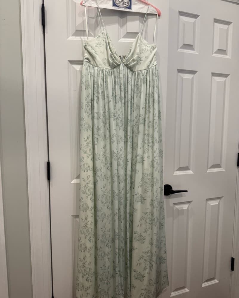 Sachin Babi Light Green maxi  - Image 1