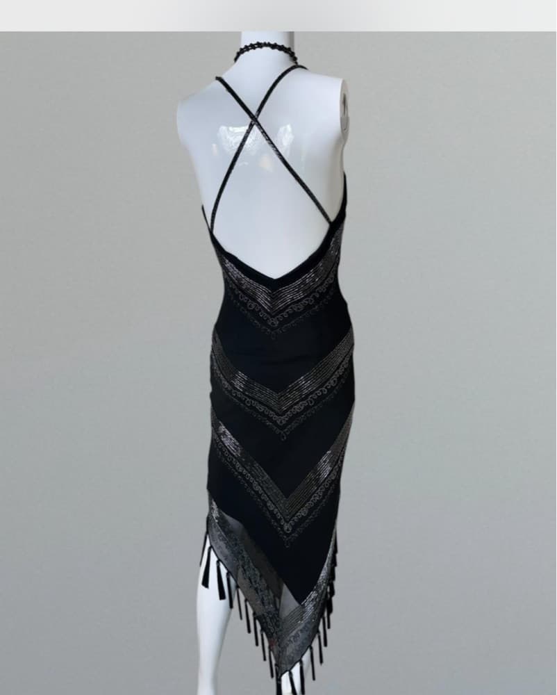 Stunning Vintage Beaded Fringe Dress - Image 2